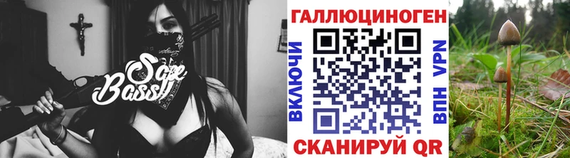 даркнет сайт  Балашиха  Галлюциногенные грибы Psilocybe 