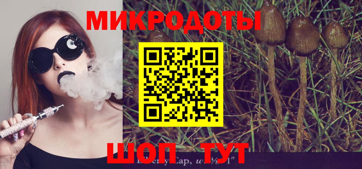 Псилоцибиновые грибы Psilocybine cubensis  Вход с VPN  Балашиха  дарнет шоп  Галлюциногенные грибы Psilocybine cubensis 